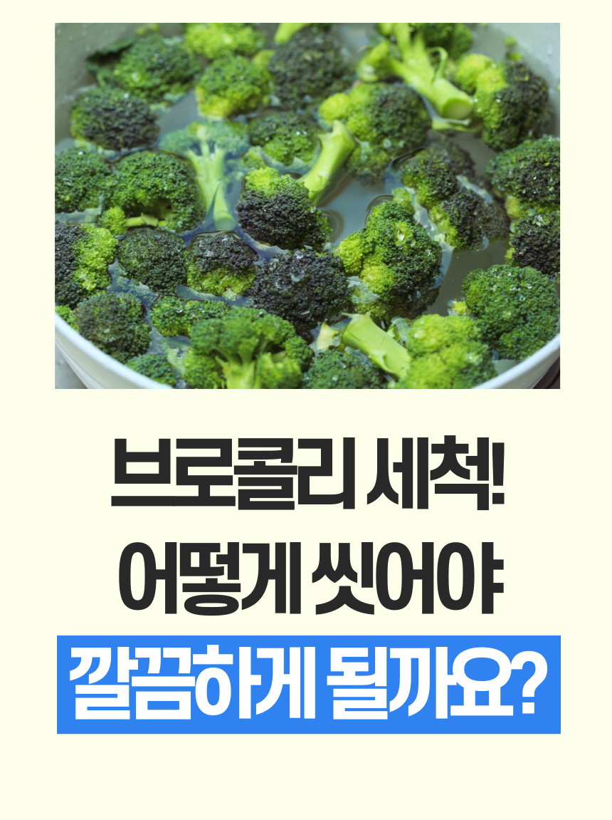 [칼슘파우더] 푸드깔끔이 싹잡아킹 주방세제 3통 과일세정제 과일세척 잔류농약제거 상세이미지