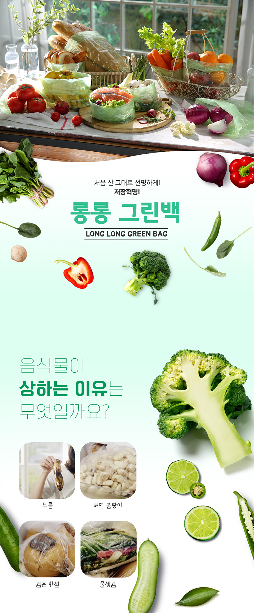 [저장혁명] 롱롱 그린백 위생 비닐봉투 롤팩 위생팩 푸드백 상세이미지