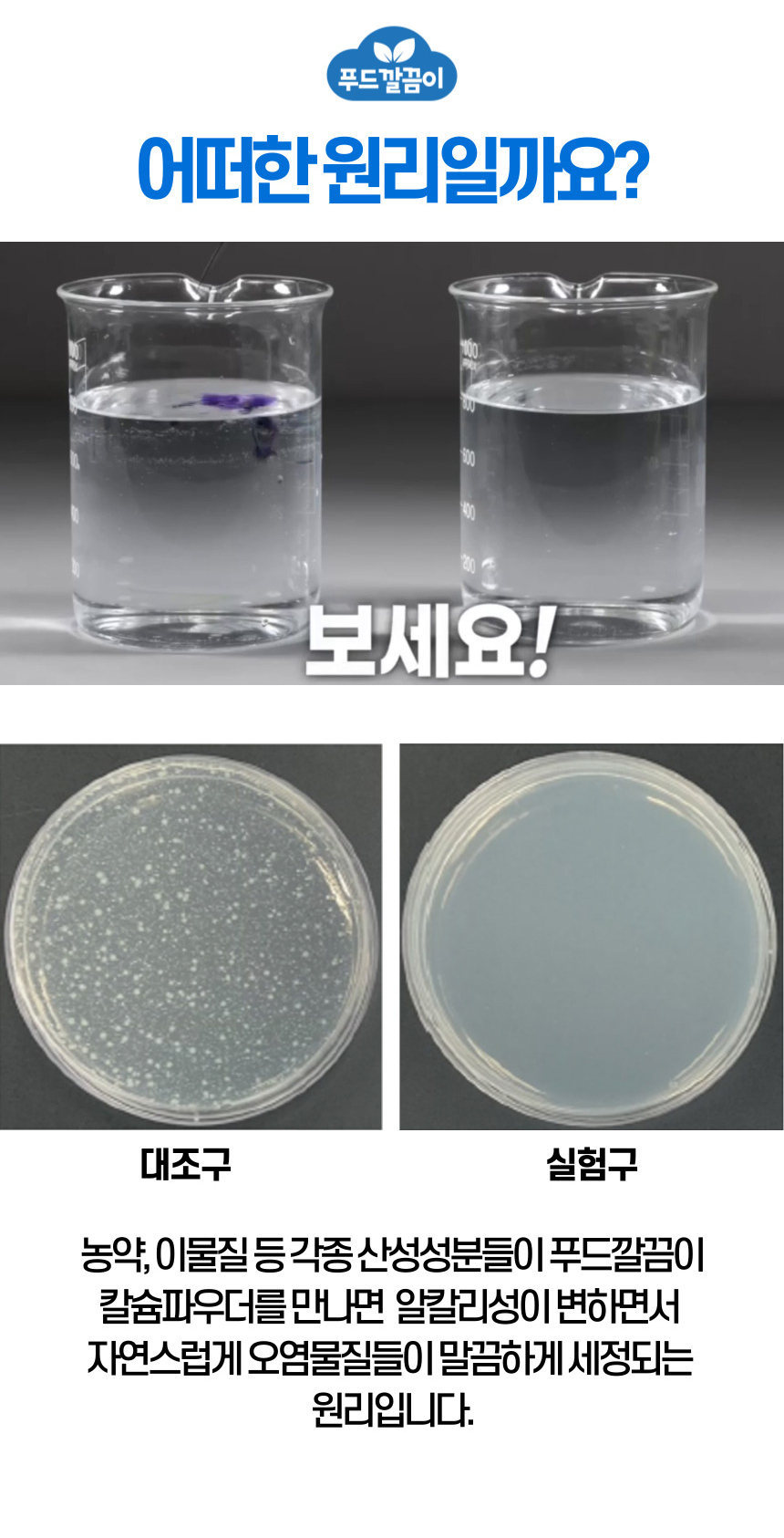 [칼슘파우더] 푸드깔끔이 싹잡아킹 주방세제 3통 과일세정제 과일세척 잔류농약제거 상세이미지